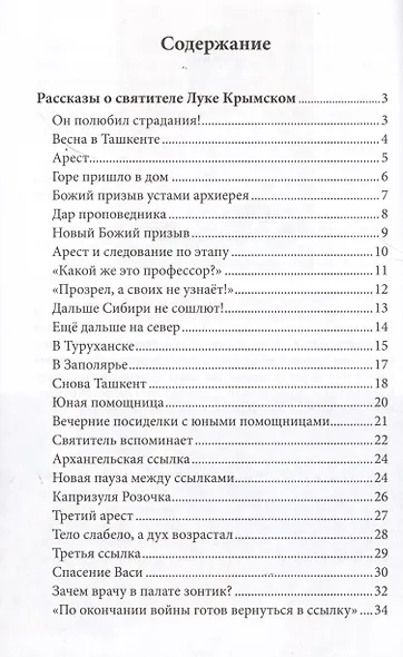 Святой Лука и дети. Рассказы о святителе Луке Крымском для семейного чтения - фото 2