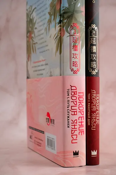 Покорение дворца Яньси. Том 2. Работный дом - фото 9