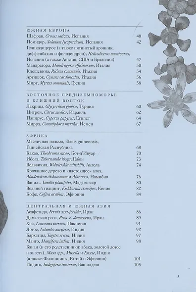 Вокруг света за 80 растений - фото 5