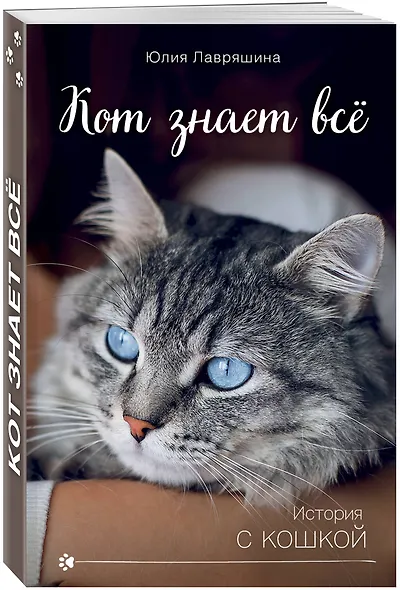 Кот знает всё - фото 3