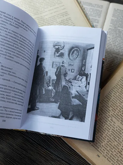 Тихий Дон. Книга 1 - фото 14