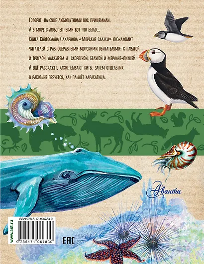 Морские сказки - фото 2