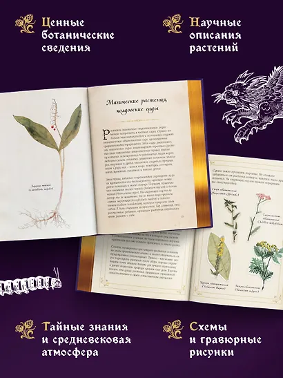 Маленький гримуар ведьмы. Зелья и волшебные травы - фото 4