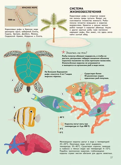 Подводный мир. Визуальный гид - фото 6