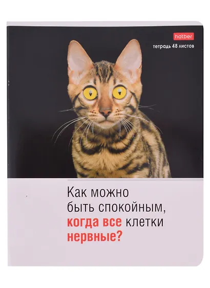 Тетрадь общая «Котоюмор» в ассортименте, 48 листов в клетку, A5 - Hatber - фото 4