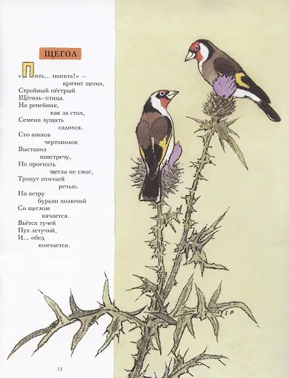 Птичьи разговоры - фото 5