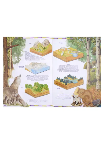 Первый атлас для детей. Животные - фото 3