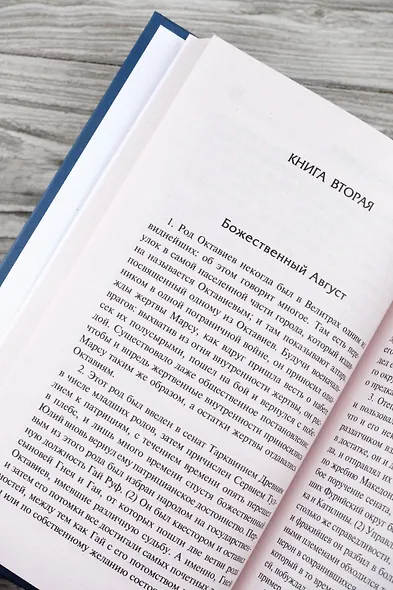 Жизнь двенадцати цезарей - фото 8