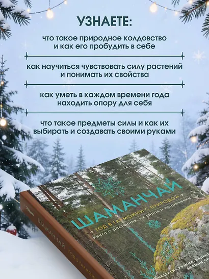Шаманчай: год в гармонии с природой. Книга о растениях, их силах и применении - фото 5