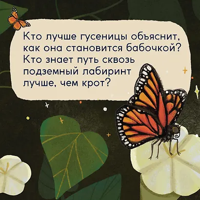 Кто живёт в лесу? Иллюстрированный атлас животных - фото 8