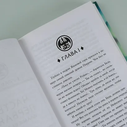 Драконья сага. Преодоление Беды - фото 10