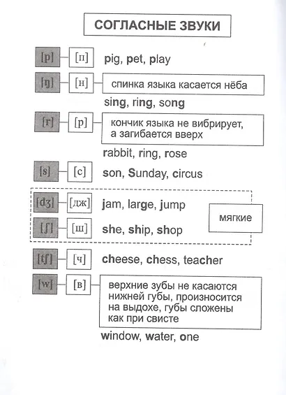 Английский язык: полный курс начальной школы - фото 5