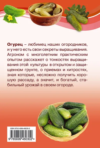 Огурцы. :Что сделать, чтобы всегда быть с урожаем. - фото 2