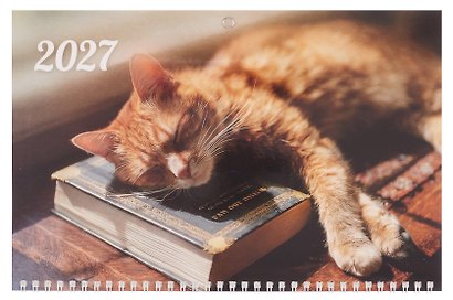 Календарь квартальный 2027г 297*695 "Кошачье настроение" настенный, трёхблочный, спираль - фото 2