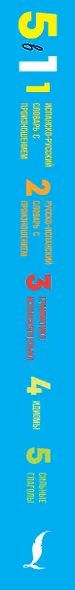 Испанский язык. 5 в 1: Испанско-русский словарь с произношением. Русско-испанский словарь с произношением. Грамматика испанского языка. Идиомы. Сильные глаголы - фото 4