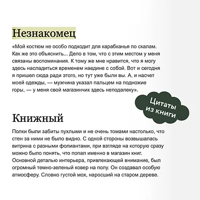 Книжная лавка грёз - фото 7