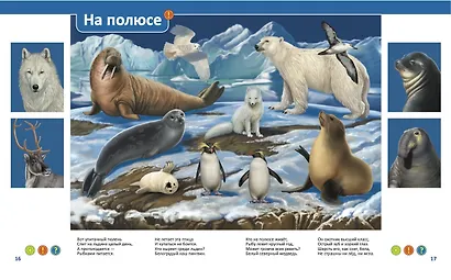 Эти удивительные животные - фото 7