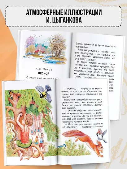 Рассказы о природе - фото 6
