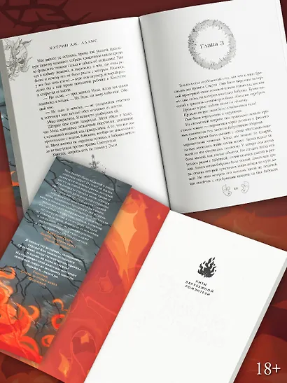 Этой ночью я сгораю - фото 5