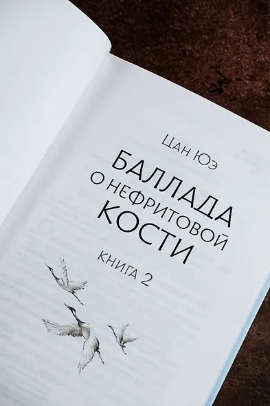 Баллада о нефритовой кости. Книга 2 - фото 9