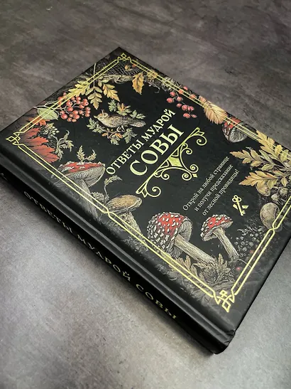 Ответы мудрой совы - фото 4