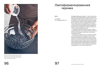 Гид по ферментации от Noma - фото 9