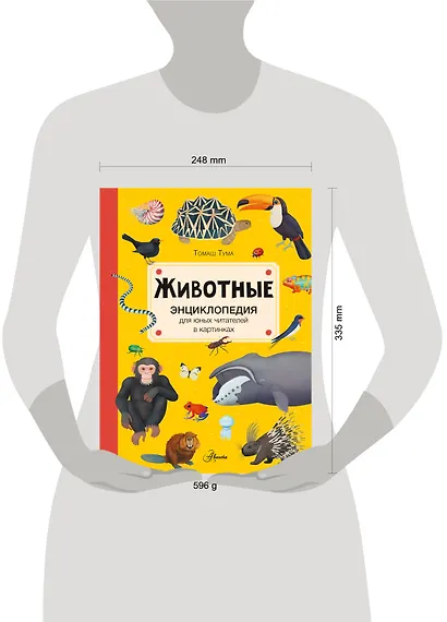 Животные - фото 10