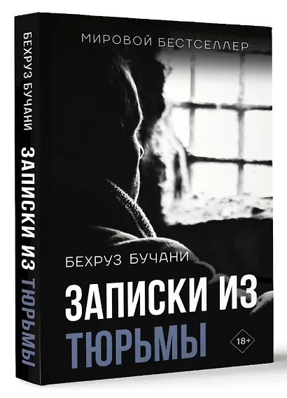 Записки из Тюрьмы - фото 3