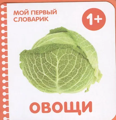 Овощи - фото 1