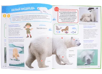 ПЕРВАЯ ДЕТСКАЯ ЭНЦИКЛОПЕДИЯ. ВСЁ О КРАСНОЙ КНИГЕ МАЛЫШАМ - фото 8