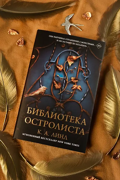 Библиотека Остролиста - фото 8