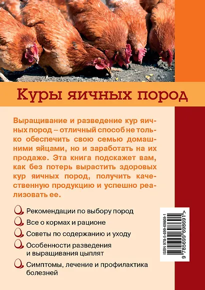 Куры яичных пород - фото 2