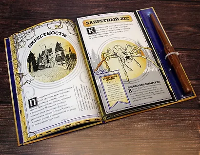 Гарри Поттер. Карта Мародёров (с волшебной палочкой) - фото 7