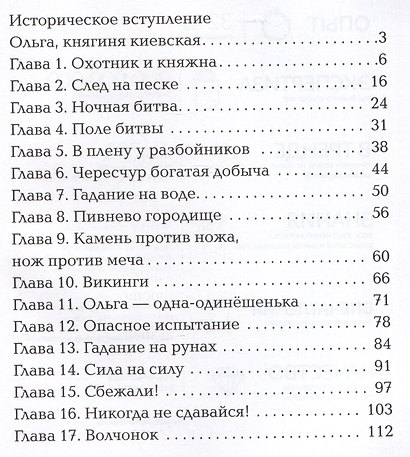Полет сокола: похищенная - фото 2