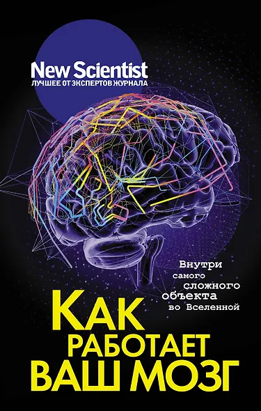 Как работает ваш мозг - фото 1