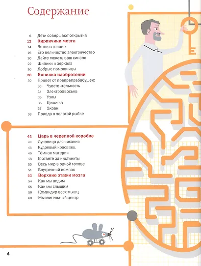 Ключи от головы: что ученые знают про мозг - фото 2