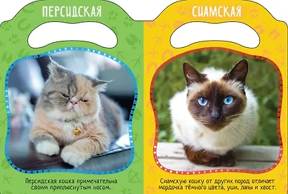 Кто мурлычет? - фото 2