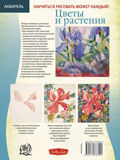 Цветы и растения - фото 2