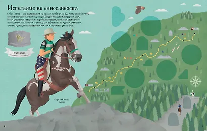 Конный спорт - фото 4