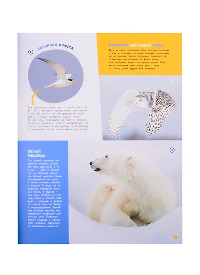 Энциклопедии c фото и видео приложениями. Животные - фото 4