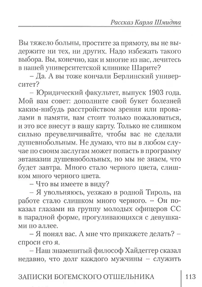 Записки богемского отшельника - фото 4