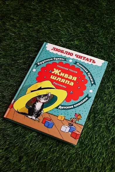 Живая шляпа. Рассказы - фото 8