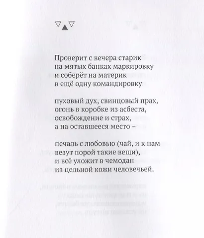 Пешеходная голубка - фото 5