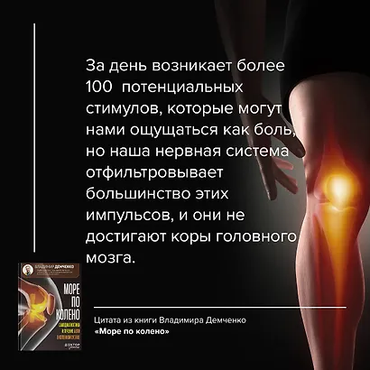 Море по колено. Самодиагностика и лечение боли в коленном суставе - фото 5