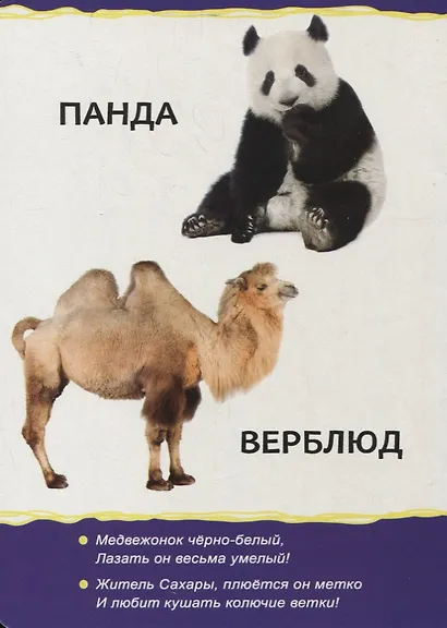 Животные зоопарка - фото 4