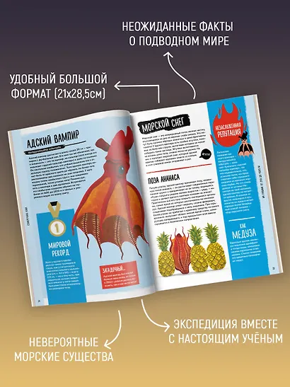 Мир вокруг тебя. Тайны мирового океана - фото 4