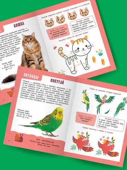 Главная книга о животных - фото 4