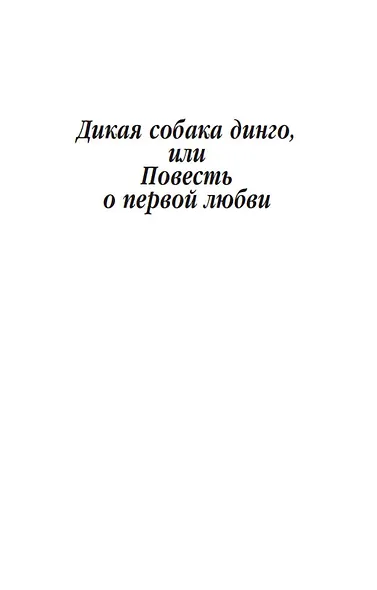 Дикая собака динго, или Повесть о первой любви - фото 7