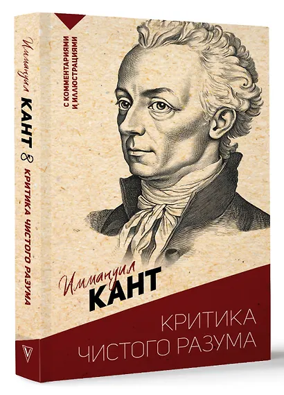 Критика чистого разума. С комментариями и иллюстрациями - фото 3