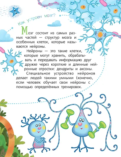 Мозг - фото 4